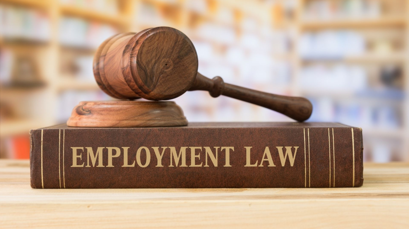 employment lawyer in Hamilton